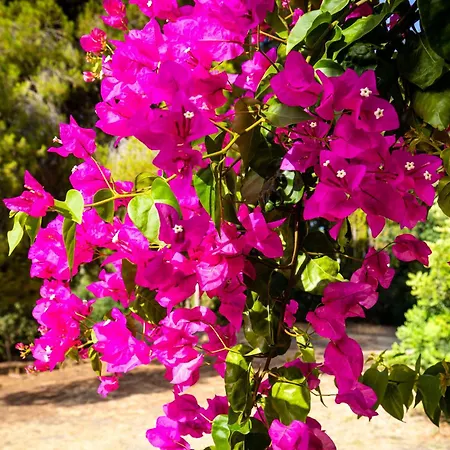 Сasa de vacaciones En Casa Cleto Y Angelita Estepona